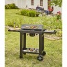 BARBACOA EASY 60 COOK´IN GARDEN
