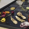 FLAVO 76 COOKING GARDEN