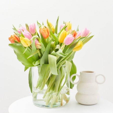 RAMO AMSTERDAM MULTICOLOR