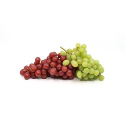 PARRA SURTIDO VARIADO