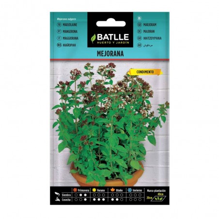 MEJORANA