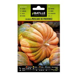 CALABAZA MUSCADE DE PROVENCE