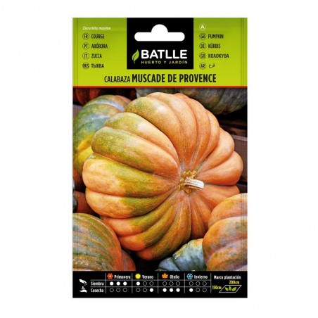 CALABAZA MUSCADE DE PROVENCE