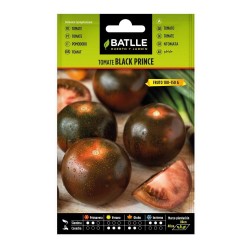 TOMATE BLACK PRINCE