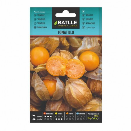 TOMATILLO PHYSALIS