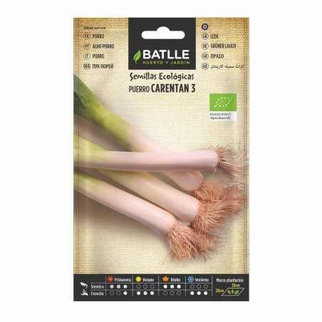 PUERRO GRUESO DE CARENTAN ECO