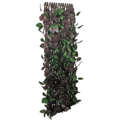 CELOSIA EXTEN FITONIA 100X150CM