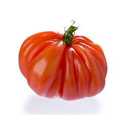 TOMATE CORAZÓN DE TORO 6 UNIDADES