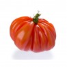 TOMATE CORAZÓN DE TORO 6 UNIDADES