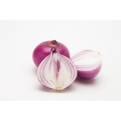 CEBOLLA FIGUERAS EN MACETA