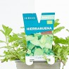HIERBA BUENA MACETA 11CM VERDECORA