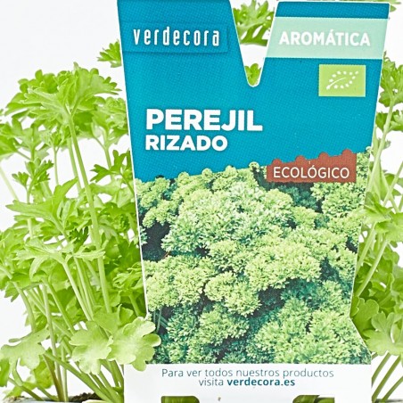 PEREJIL RIZADO M-11 VERDECORA