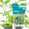 STEVIA M-11 VERDECORA