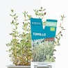 TOMILLO M-11 VERDECORA