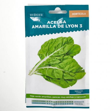 SEMILLAS ACELGA AMARILLA LYON VERDECORA