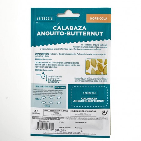 SEMILLAS CALABAZA ANQUITO-BUTTERNUT VERDECORA