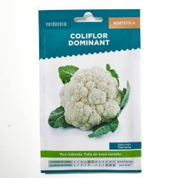 SEMILLAS COLIFLOR DOMINANT BLANQUITA VERDECORA
