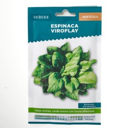 SEMILLAS ESPINACA VIROFLAY VERDECORA