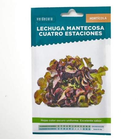 SEMILLAS LECHUGA MANTECOSA CUATRO ESTACIONES VERDECORA