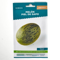 SEMILLAS MELÓN PIEL DE SAPO VERDECORA