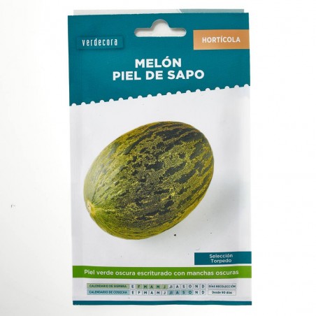 SEMILLAS MELÓN PIEL DE SAPO VERDECORA