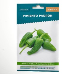 SEMILLAS PIMIENTO PADRON VERDECORA