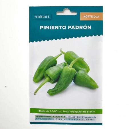 SEMILLAS PIMIENTO PADRON VERDECORA