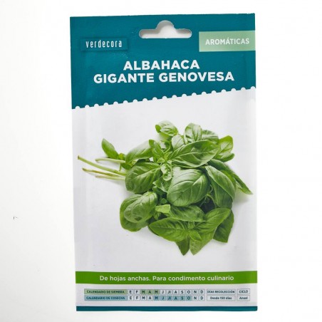 SEMILLAS ALBAHACA GIGANTE GENOVESA VERDECORA