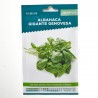 SEMILLAS ALBAHACA GIGANTE GENOVESA VERDECORA