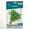 SEMILLAS CILANTRO VERDECORA