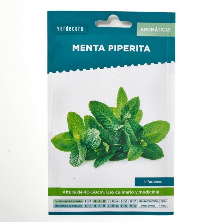 SEMILLAS MENTA VERDECORA