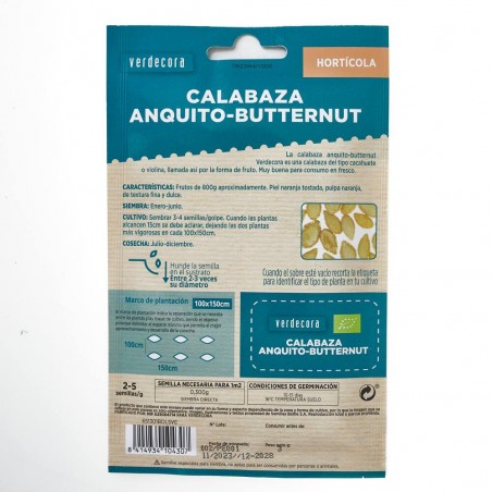 SEMILLAS ECOLÓGICAS CALABAZA BUTTERNUT VERDECORA