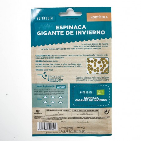 SEMILLAS ECOLÓGICAS ESPINACA GIGANTE DE INVIERNO VERDECORA