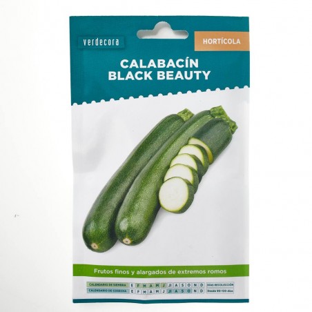 SEMILLAS CALABACIN BLACK BEAUTY VERDECORA