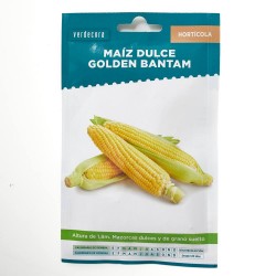 SEMILLAS MAIZ DULCE VERDECORA