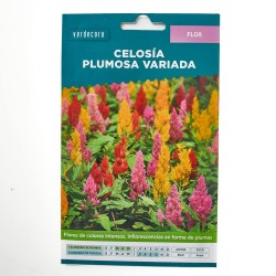 SEMILLAS CELOSIA PLUMOSA VERDECORA