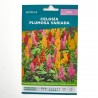SEMILLAS CELOSIA PLUMOSA VERDECORA