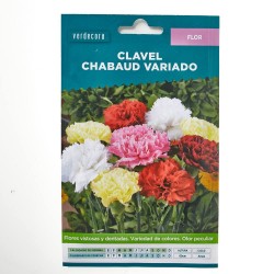 SEMILLAS CLAVEL CHABAUD VARIADO VERDECORA