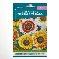 SEMILLAS CRISANTEMO TRICOLOR VARIADO VERDECORA