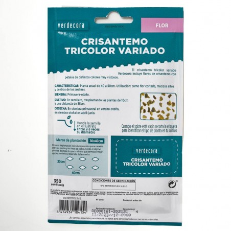 SEMILLAS CRISANTEMO TRICOLOR VARIADO VERDECORA