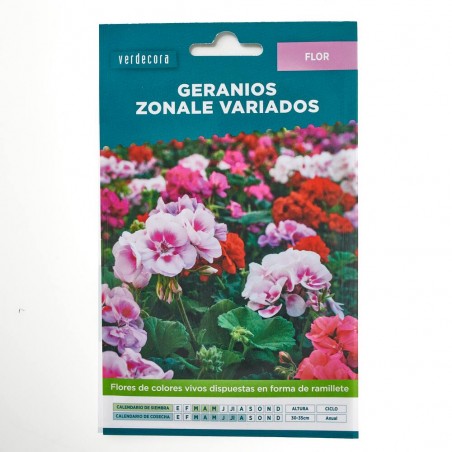 SEMILLAS GERANIO ZONALE VARIADO VERDECORA