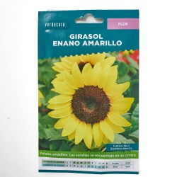 SEMILLAS GIRASOL ORNAMENTAL VERDECORA