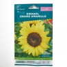 SEMILLAS GIRASOL ORNAMENTAL VERDECORA