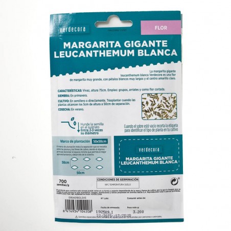 SEMILLAS MARGARITA GIGANTE LEUCANTHEMUM BLANCA VERDECORA