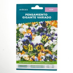 SEMILLAS PENSAMIENTO VARIADO VERDECORA
