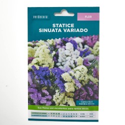 SEMILLAS STATICE VARIADO VERDECORA