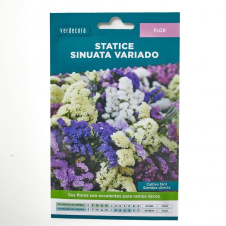 SEMILLAS STATICE VARIADO VERDECORA