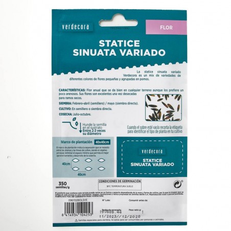 SEMILLAS STATICE VARIADO VERDECORA