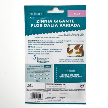 SEMILLAS ZINNIA GIGANTE VERDECORA