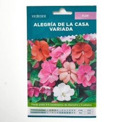 SEMILLAS ALEGRIA DE LA CASA VERDECORA